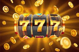 25winvn